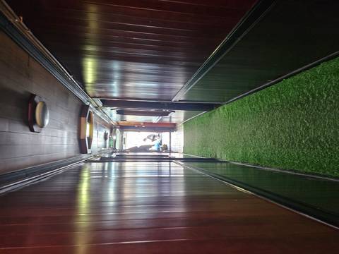 Narrow indoor hallway with green carpeting.