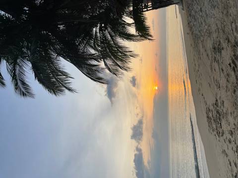       Palm trees and a tranquil beach at sunset.
  
