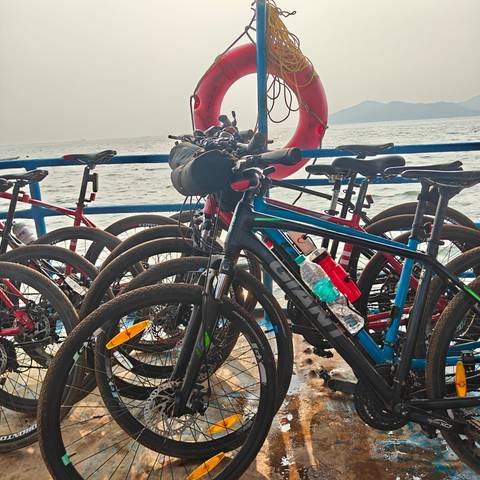 Bicycles on a ferry with water in the background.