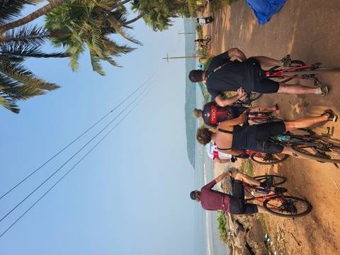 Cyclists riding along a coastal road, with palm trees.