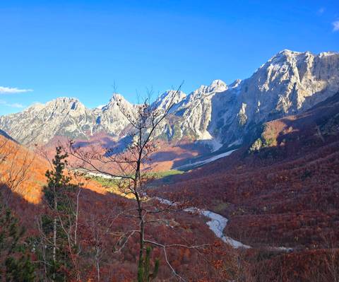 Vast mountain landscape with autumn foliage.