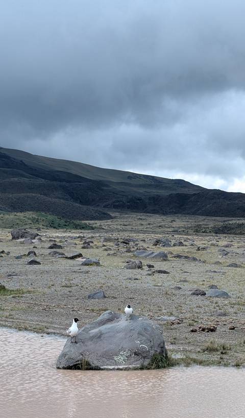       Rocky terrain with mountains in the background under cloudy skies.
  