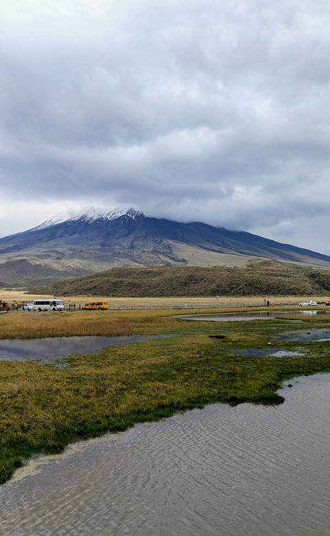       Mountains with snow-covered peaks and a grassy foreground.
  