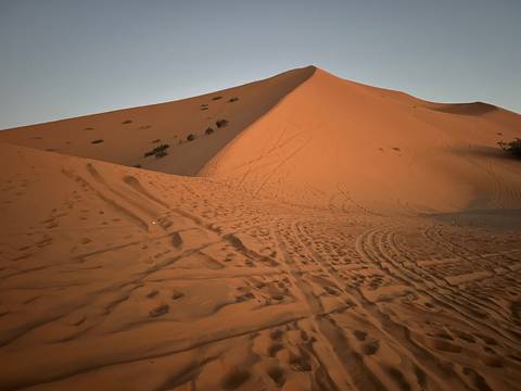       Sand dune landscape with tracks.
  