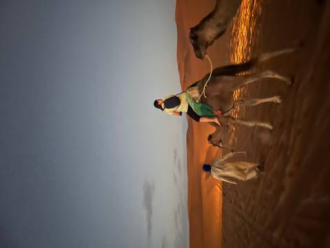       Person riding a camel in the desert.
  