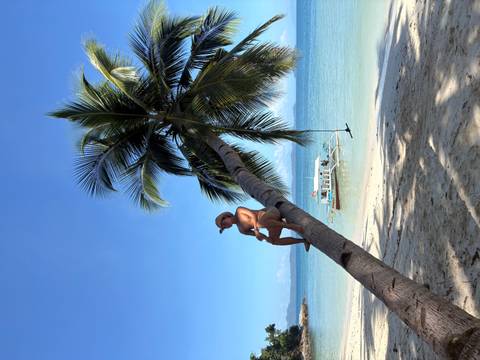       Person sitting on a leaning palm tree by the beach.
  