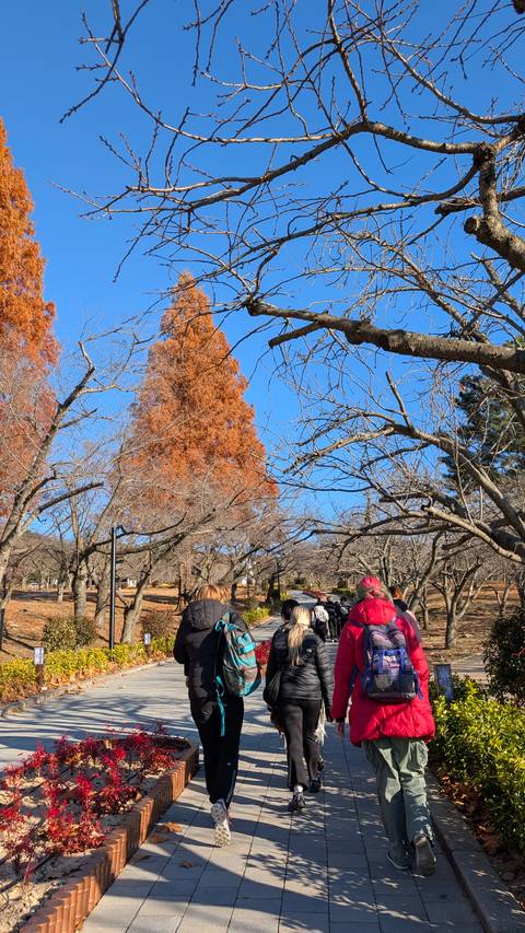 People walking in a park with autumn foliage.