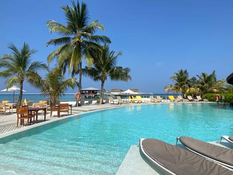       Resort poolside view with palm trees and beach chairs overlooking the ocean.
  