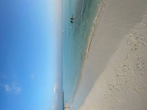       Serene beachscape with gentle waves and a clear sky.
  