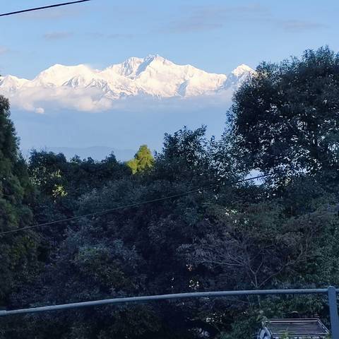       View of distant snowy mountains through the trees.
  