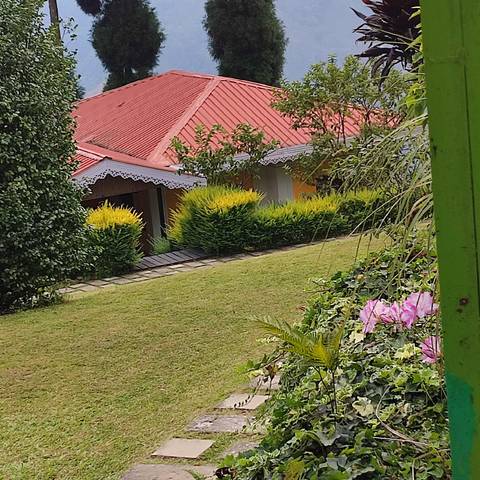       Close-up of a landscaped garden with house in the background.
  