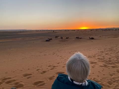 A person watching camels at sunset in a desert.