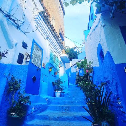 Blue buildings and stairs in Chefchaouen.