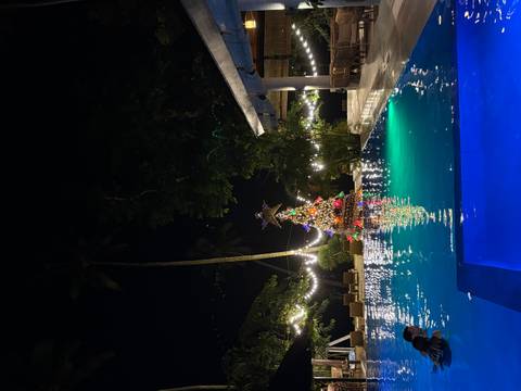 A pool scene at night with Christmas lights and a decorated tree reflecting in the water.