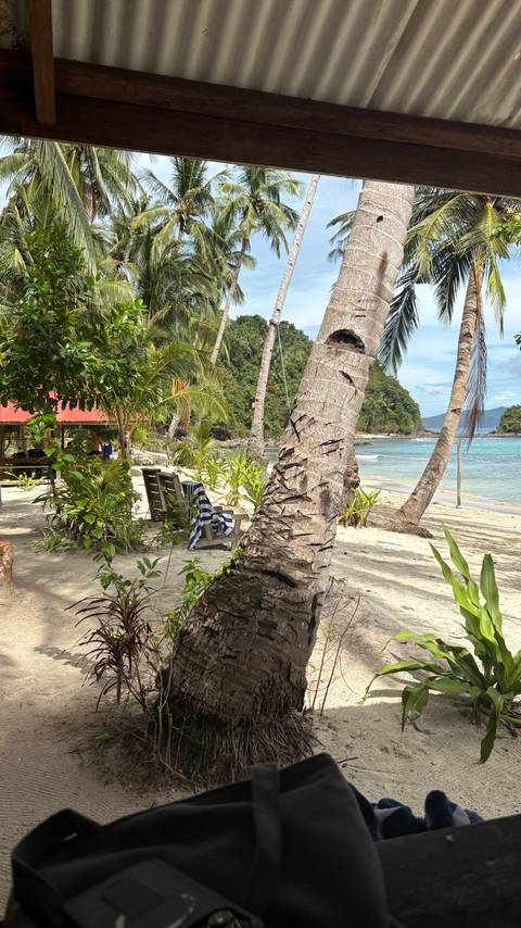 A peaceful beach scene with palm trees and a lounge chair on the sand.