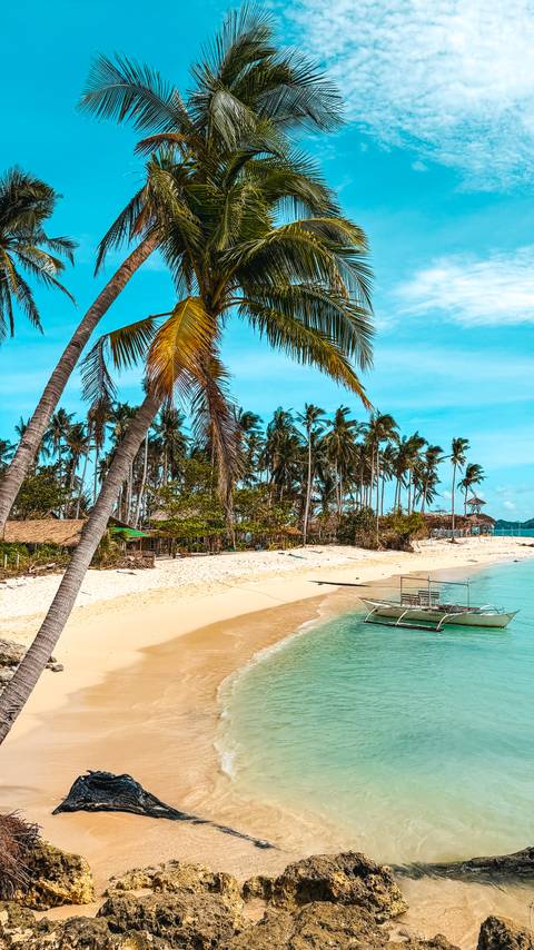       A scenic beach with palm trees and a boat on the shore.
  
