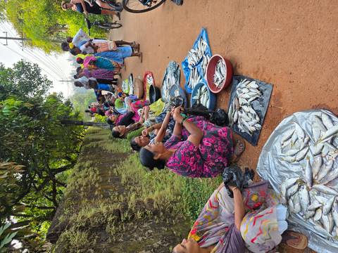 A bustling market scene with women selling fish.