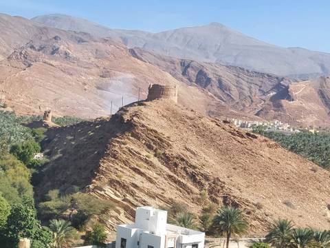 Ancient watchtower on a hill with palm trees.