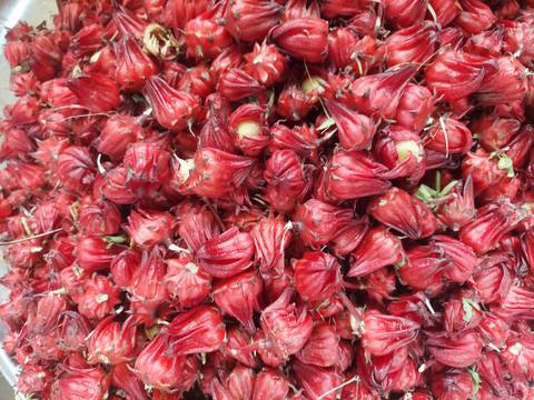       Pile of vibrant red flowers.
  