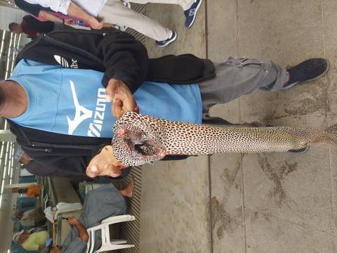 Person holding a large fish in a market.