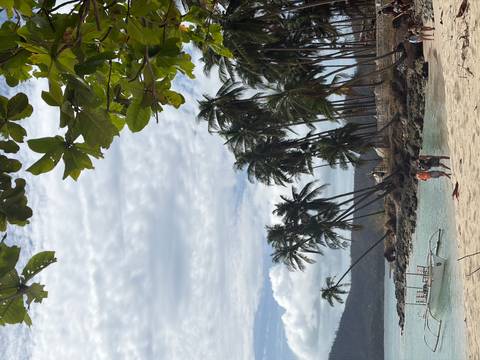       A beach scene with palm trees, two people walking, and a boat near the shore
  