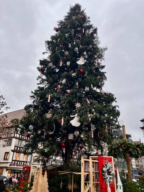       Decorated Christmas tree outdoors in a European setting.
  