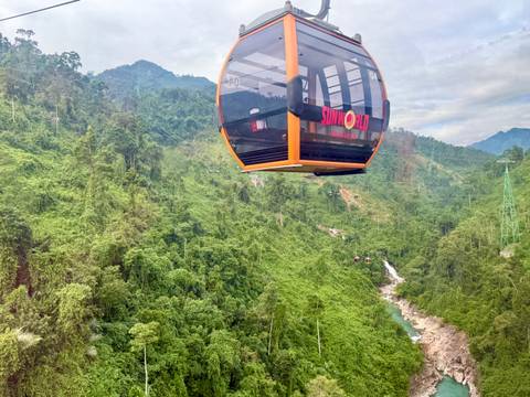       Cable car over a tropical forest.
  
