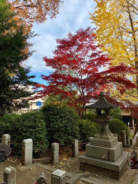 Colorful autumn foliage with a traditional Japanese stone lantern.