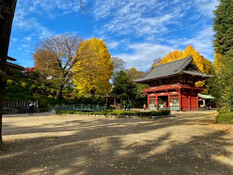 Japanese garden with autumn colors and traditional gate.