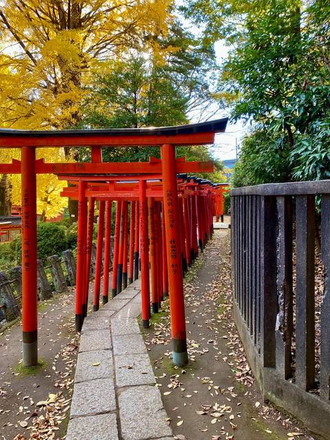 Pathway lined with red torii gates in a Japanese garden.