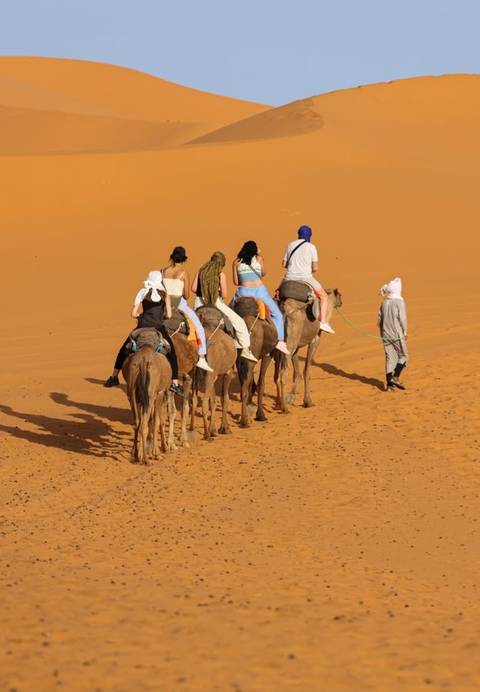       11 Day Morocco Tour from Tangier customer review photo 
  