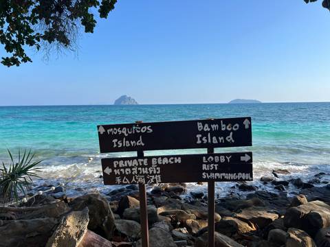       A beach scene with a wooden sign pointing to different destinations, with the ocean in the background.
  