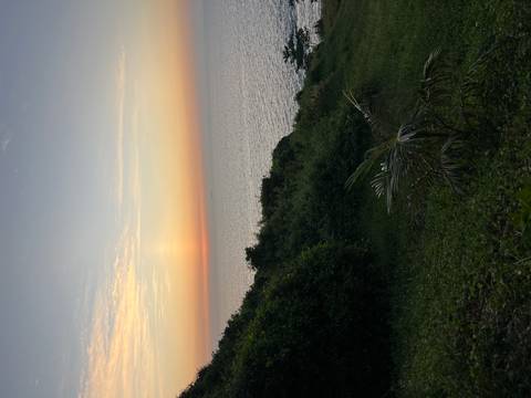       Sunset view over the ocean with greenery in the foreground.
  