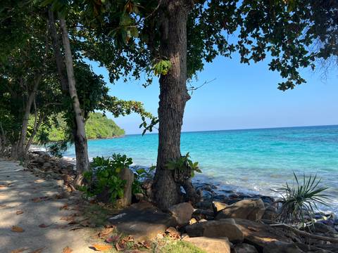       A scenic coastal path next to turquoise ocean water and trees.
  