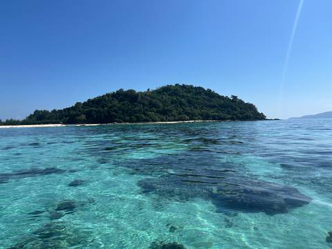       Clear water with visible coral formations and a forested island in the background.
  