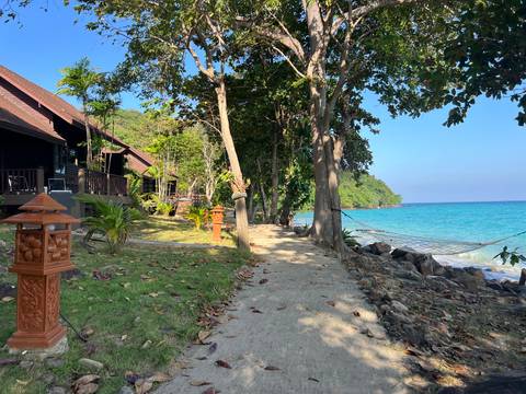       A beachside path with trees and a hammock overlooking the ocean.
  