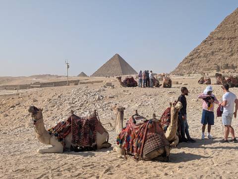 Tourists with camels at the Giza Pyramids.