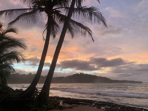 Sunset over a beach with palm trees silhouetted against the sky.