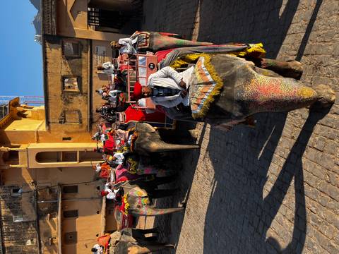 Group of tourists riding decorated elephants on a cobblestone path.