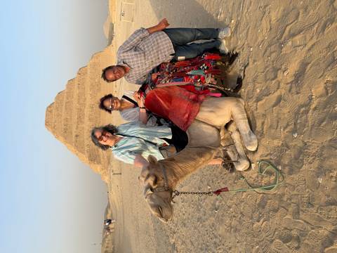 Group of tourists with a camel and a pyramid in the background.