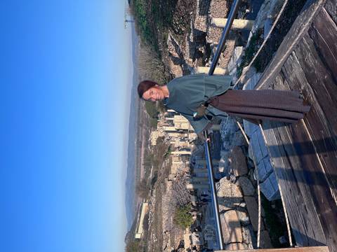 A person overlooking an archaeological site.