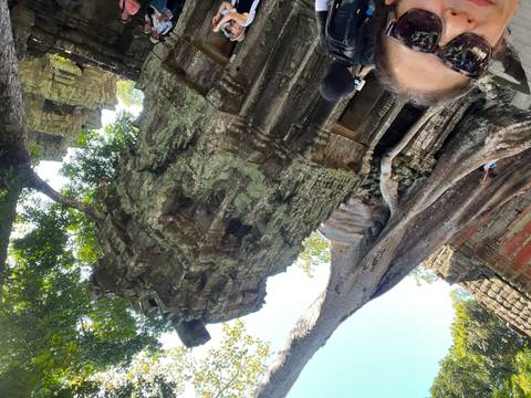       Ancient temple ruins with large tree roots growing over the structures.
  