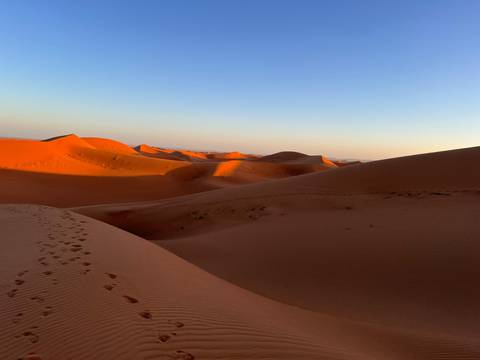 Golden desert dunes under a blue sky.