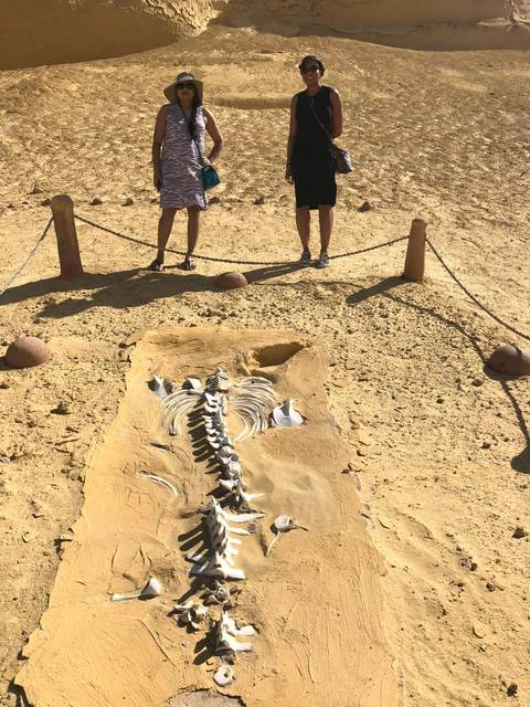 People observing fossil remains in the desert.