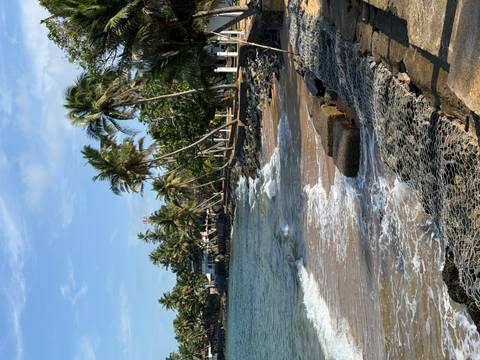 Palm-fringed beach with gentle waves.