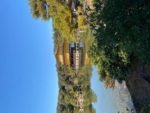 Golden Pavilion surrounded by lush greenery and a reflecting pond.