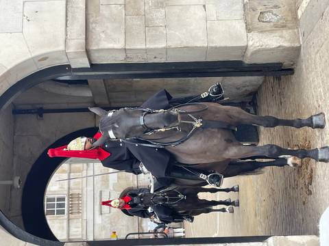       Horse guard in full ceremonial dress in an archway.
  