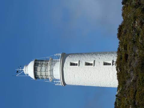       White lighthouse standing above green shrubbery under a clear sky.
  