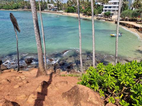 Coconut palms overlooking a turquoise bay.