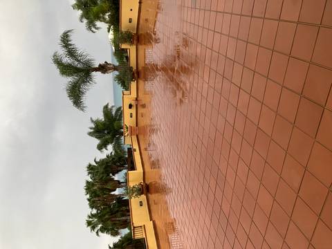 Wet terrace with potted plants and palm trees.